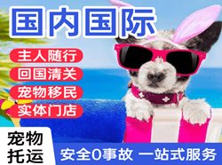 西昌机场托运国际宠物托运 【国